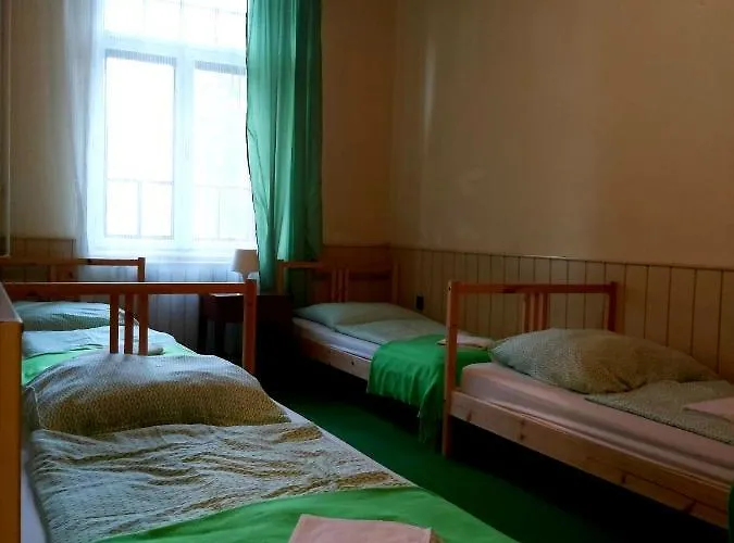 Stella シオーフォク