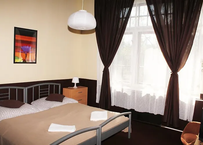 Stella シオーフォク