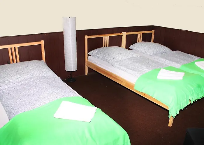 Stella シオーフォク